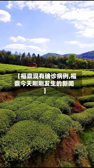 【福鼎现有确诊病例,福鼎今天刚刚发生的新闻】