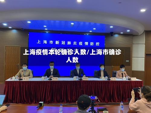 上海疫情本轮确诊人数/上海市确诊人数