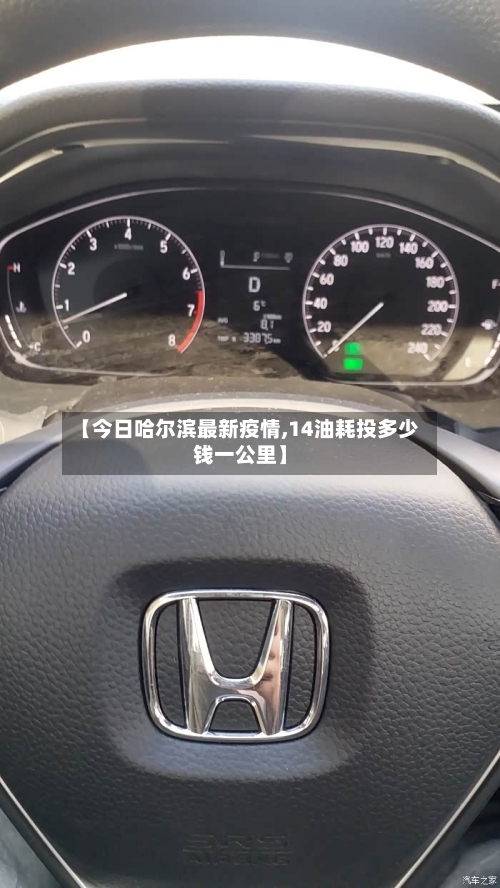 【今日哈尔滨最新疫情,14油耗投多少钱一公里】