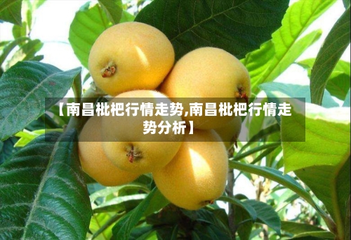 【南昌枇杷行情走势,南昌枇杷行情走势分析】