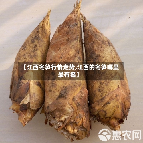 【江西冬笋行情走势,江西的冬笋哪里最有名】