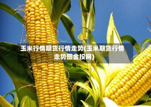 玉米行情期货行情走势(玉米期货行情走势图金投网)