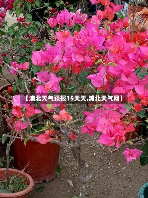 【浦北天气预报15天天,浦北天气网】