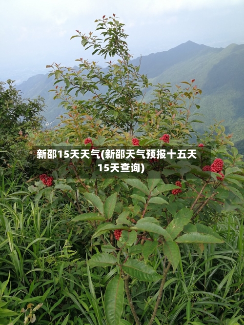 新邵15天天气(新邵天气预报十五天 15天查询)