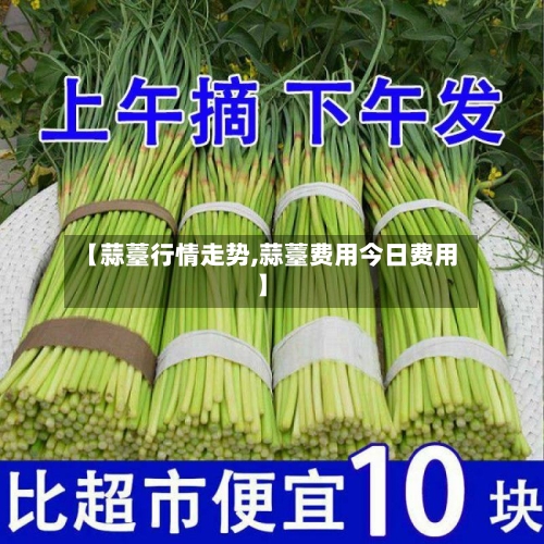 【蒜薹行情走势,蒜薹费用今日费用】