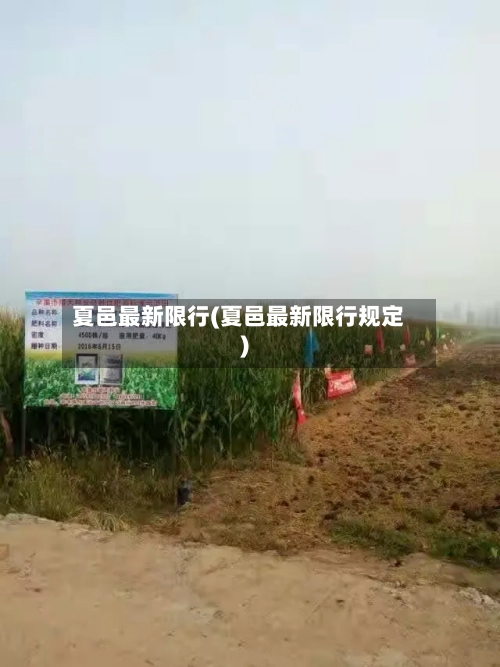 夏邑最新限行(夏邑最新限行规定)