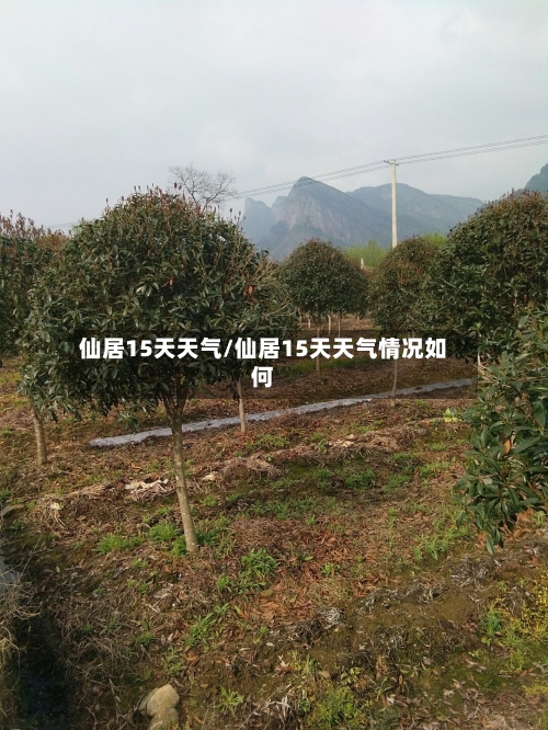 仙居15天天气/仙居15天天气情况如何