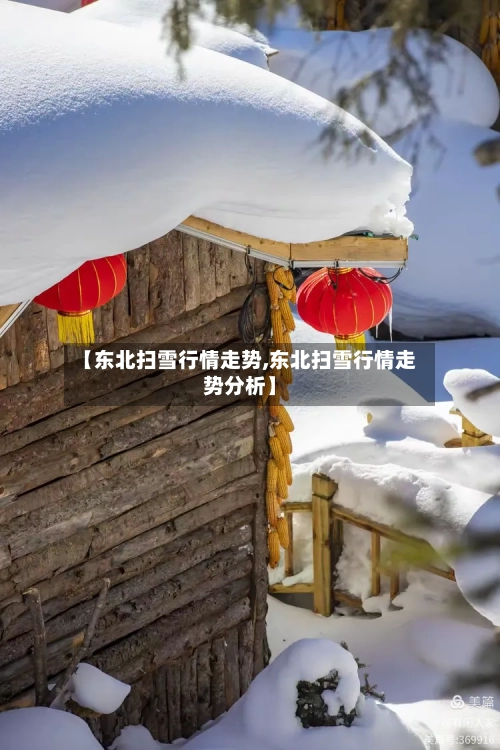 【东北扫雪行情走势,东北扫雪行情走势分析】