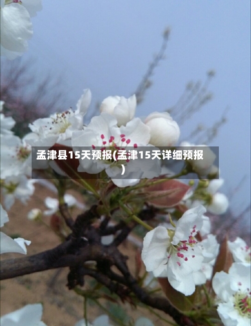 孟津县15天预报(孟津15天详细预报)
