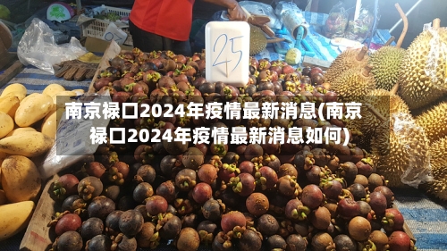 南京禄口2024年疫情最新消息(南京禄口2024年疫情最新消息如何)