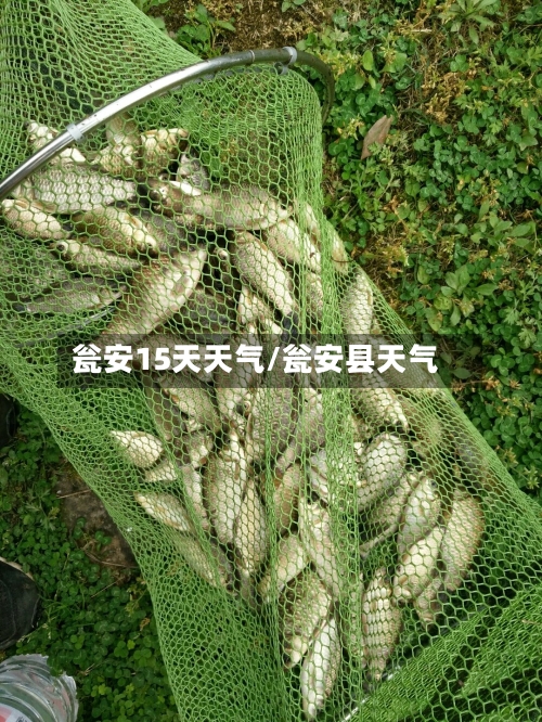 瓮安15天天气/瓮安县天气