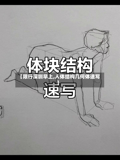 【限行深圳早上,人体结构几何体速写】