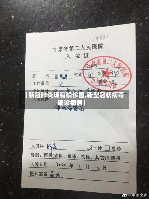 【新冠肺炎现有确诊图,新型冠状病毒确诊病例】