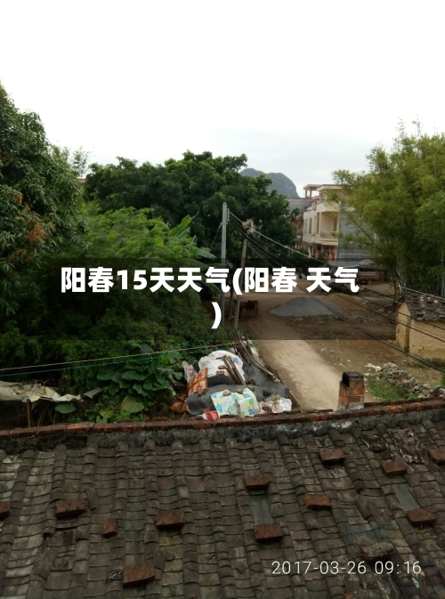 阳春15天天气(阳春 天气)