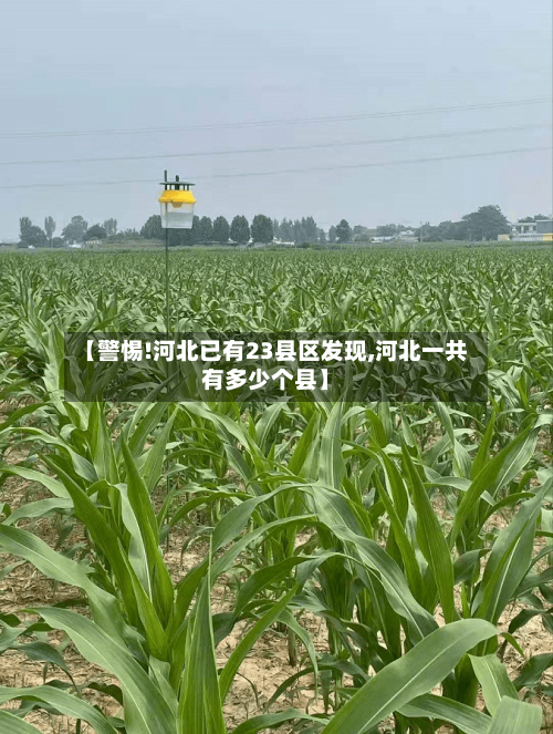 【警惕!河北已有23县区发现,河北一共有多少个县】