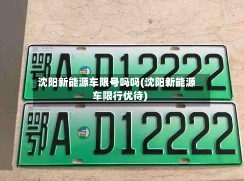 沈阳新能源车限号吗吗(沈阳新能源车限行优待)