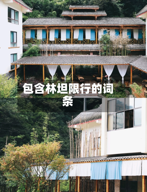 包含林坦限行的词条