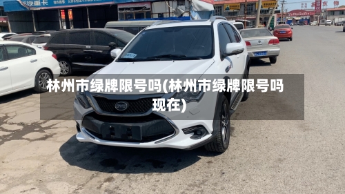 林州市绿牌限号吗(林州市绿牌限号吗现在)
