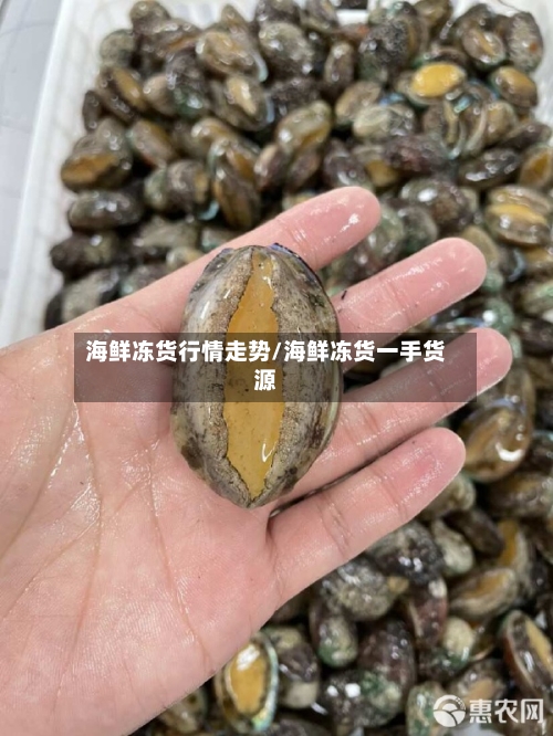 海鲜冻货行情走势/海鲜冻货一手货源