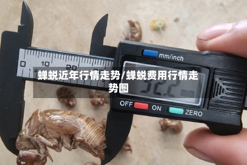 蝉蜕近年行情走势/蝉蜕费用行情走势图