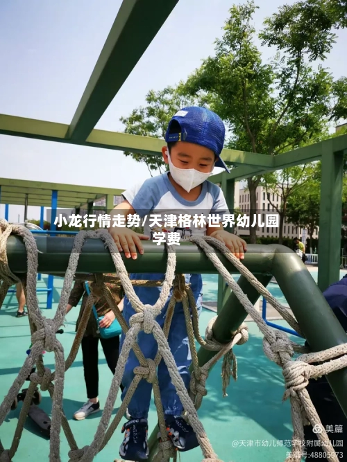 小龙行情走势/天津格林世界幼儿园学费