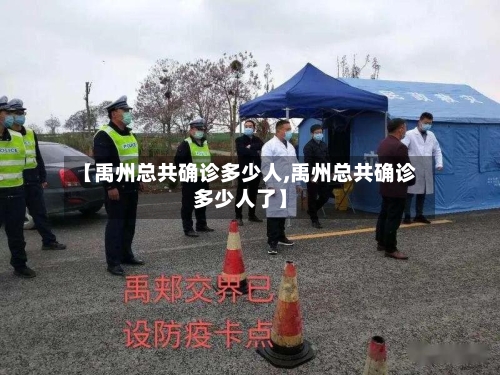 【禹州总共确诊多少人,禹州总共确诊多少人了】