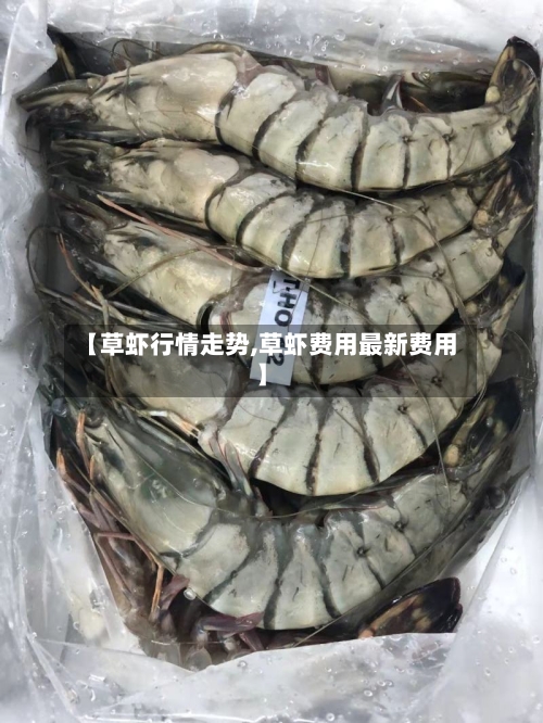 【草虾行情走势,草虾费用最新费用】