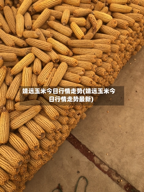 靖远玉米今日行情走势(靖远玉米今日行情走势最新)
