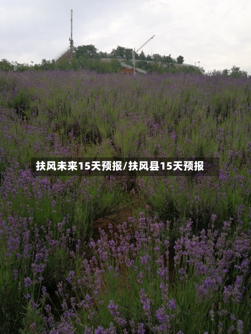 扶风未来15天预报/扶风县15天预报