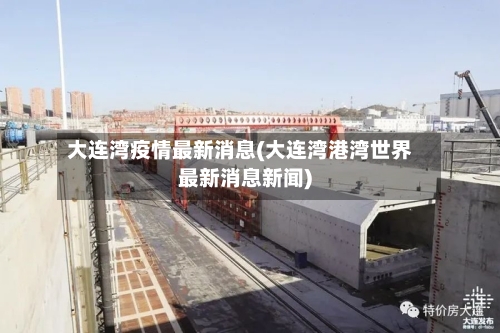 大连湾疫情最新消息(大连湾港湾世界最新消息新闻)