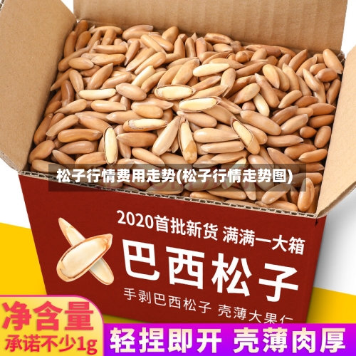松子行情费用走势(松子行情走势图)