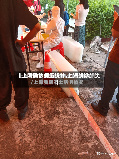 【上海确诊病历统计,上海确诊肺炎】