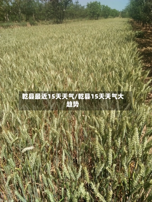 乾县最近15天天气/乾县15天天气大趋势