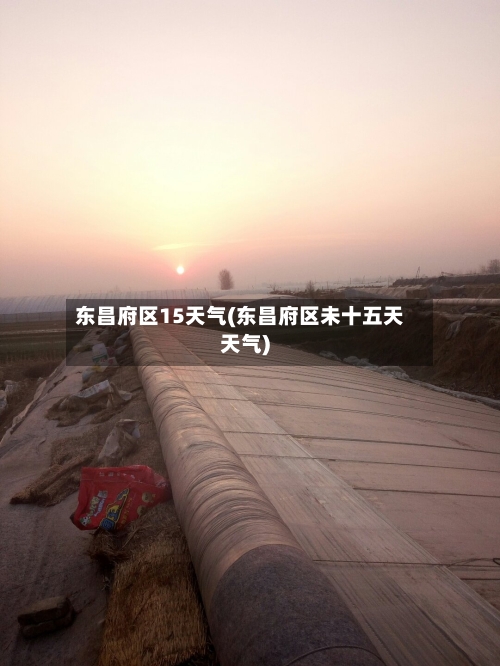 东昌府区15天气(东昌府区未十五天天气)