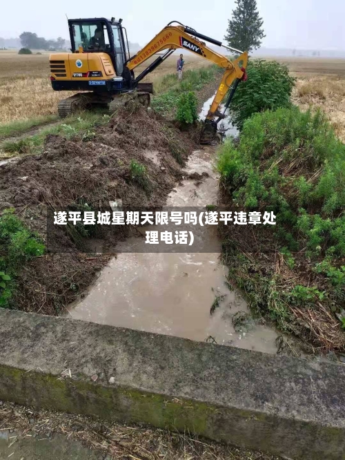 遂平县城星期天限号吗(遂平违章处理电话)