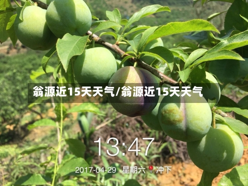 翁源近15天天气/翁源近15天天气