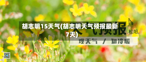 胡志明15天气(胡志明天气预报最新7天)