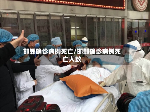 邯郸确诊病例死亡/邯郸确诊病例死亡人数