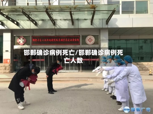 邯郸确诊病例死亡/邯郸确诊病例死亡人数