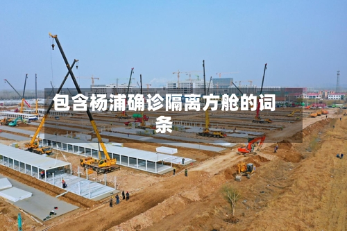 包含杨浦确诊隔离方舱的词条