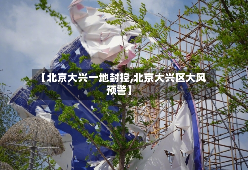 【北京大兴一地封控,北京大兴区大风预警】