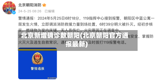 北京新增确诊数朝阳(北京朝阳官方通报最新)