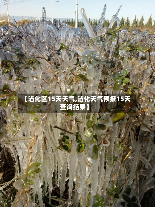 【沾化区15天天气,沾化天气预报15天查询结果】