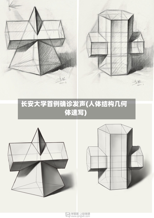 长安大学首例确诊发声(人体结构几何体速写)