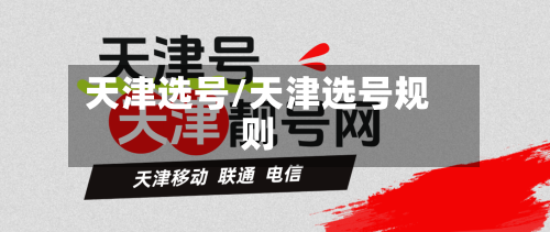 天津选号/天津选号规则