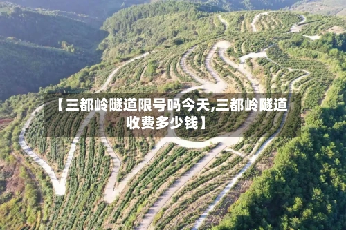 【三都岭隧道限号吗今天,三都岭隧道收费多少钱】
