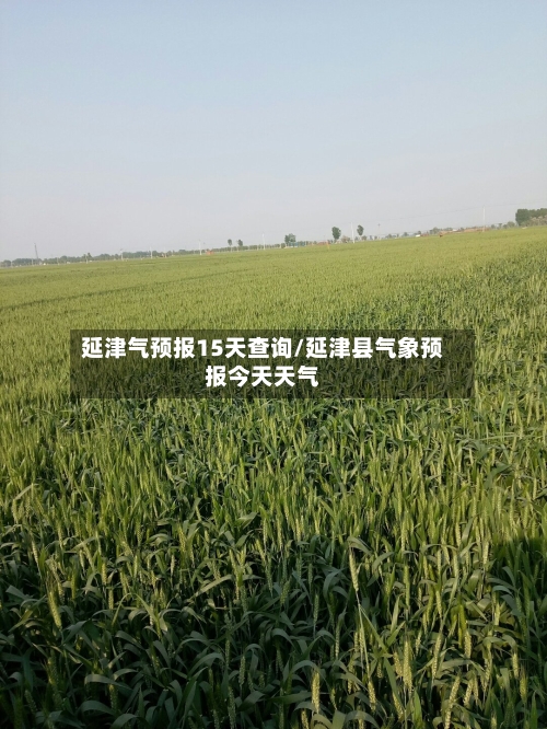延津气预报15天查询/延津县气象预报今天天气