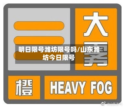明日限号潍坊限号吗/山东潍坊今日限号