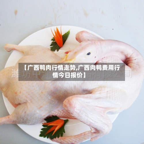 【广西鸭肉行情走势,广西肉鸭费用行情今日报价】