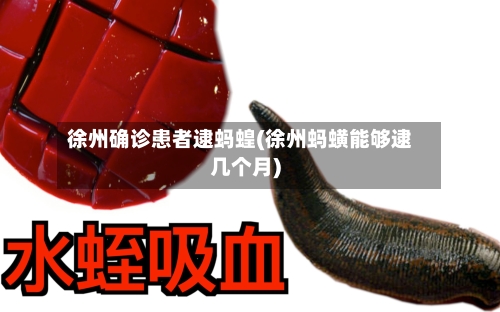 徐州确诊患者逮蚂蝗(徐州蚂蟥能够逮几个月)